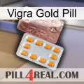 Vigra Gold Pill new13